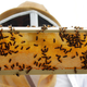 A beekeeper holds a frame of honeybees in Manchester, New Hampshire.